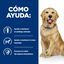 12 kg Hill's Prescription Diet Mobility Pollo pienso para perros, , large indicador imagen numero 4